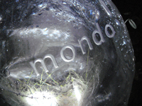 mondo