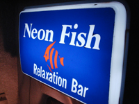 Relaxation Bar「Neon Fish」で リキュール樅の木ハニーハブ neonfish